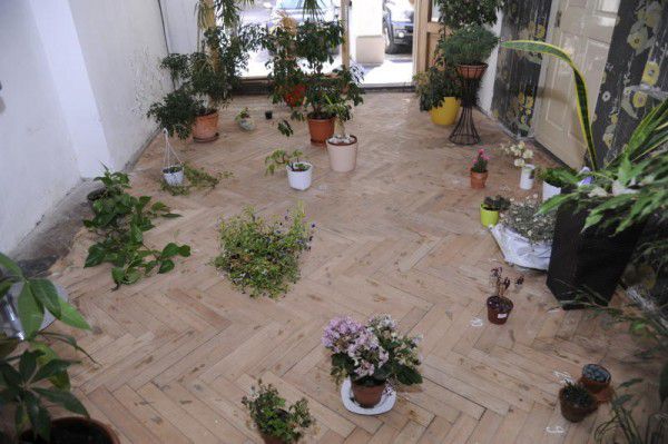 Im Mai hat Nadine Hirschauer (oben) das Projekt „Salon Eden“ (links) realisiert.von Alten, kammann