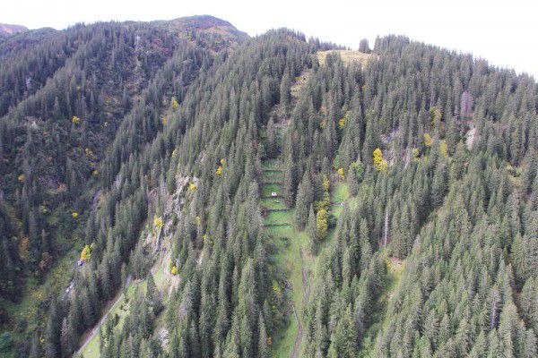 Langfristig soll der Wald die Schutzbauten ersetzen. Bernd Hofmeister