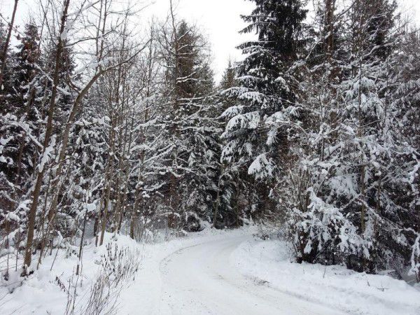 Der verschneite Weg führt zum Känzele. Bei besonders viel Schnee sind Stöcke empfehlenswert.  Hertha Glück (2)