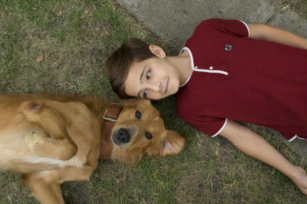 Bailey sucht einen Freund.