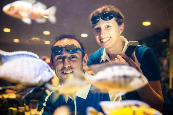 Obmann Christoph Muxel (l.) und Sportliche Leiterin Stefanie Kernbeiß leiten die Geschicke des Schwimmclubs der TS Dornbirn. Hartinger