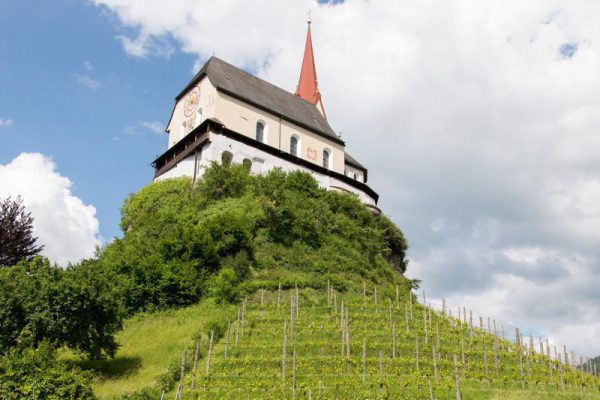 Am Liebfrauenberg gibt es zwei Weingärten. Marktgemeinde Rankweil