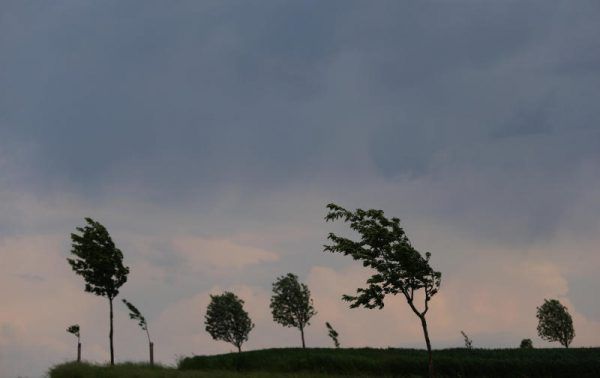 Heftige Orkanböen sind zu erwarten.  Hildenbrand/dpa