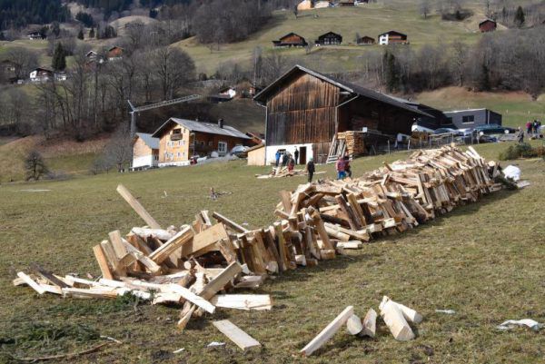 Zwei Männer wurden verletzt, als am Samstagnachmittag der Funken in Silbertal umstürzte.© Gerhard Scopoli