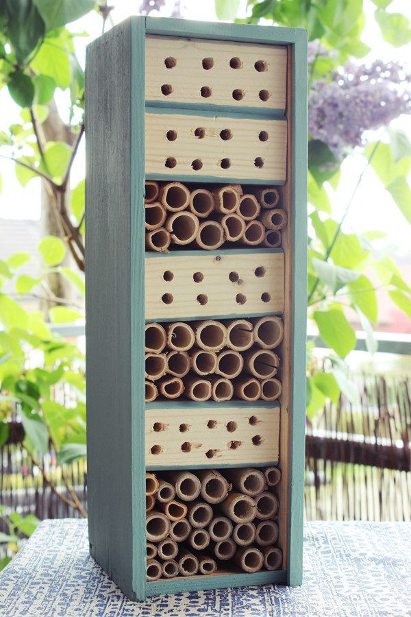 Ein Bienenhotel als Nistplatz für Wildbienen ist ein kleiner Umweltbeitrag.Jasmine Hörhager (2)