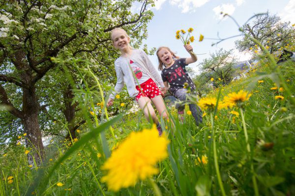 Mia und Frida aus Schwarzach nutzten gestern das schöne Frühlingswetter noch für einen Spaziergang.Klaus Hartinger