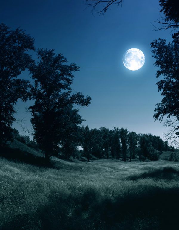 Ostern ist heuer erst vier Wochen nach dem ersten Vollmond im Frühling.  Shutterstock
