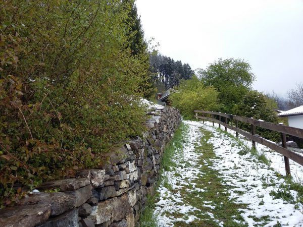 Auf der Alten Raggalerstraße taucht der Wanderer in die Natur ein. Hertha Glück (2)