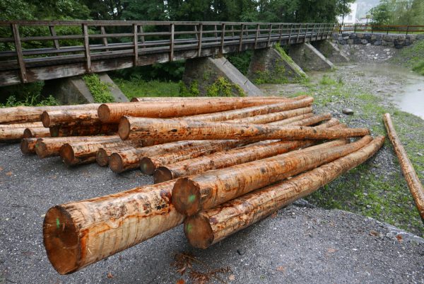 Das gelagerte Holz wird benötigt, um den ursprünglichen Zustand des Rechens wiederherzustellen. Gemeinde Rankweil