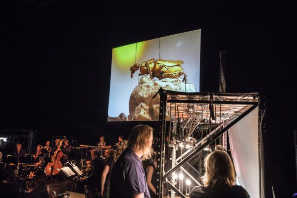 Die Inszenierung „Der Ring in 90 Minuten“ auf der Werkstattbühne. Hotel Modern sorgt für die Insekten-Szenen. Frederik Sams