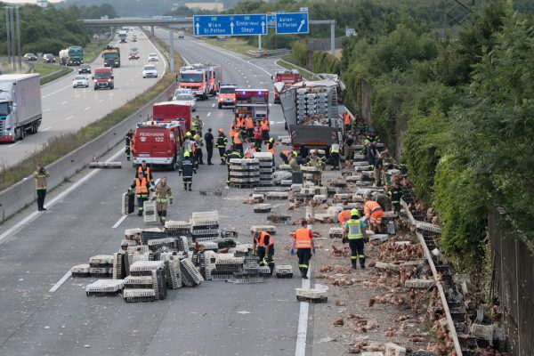 Die Westautobahn nach dem Unfall: Feuerwehrmänner sammeln die Hühner ein. APA/FOTOKERSCHI.AT