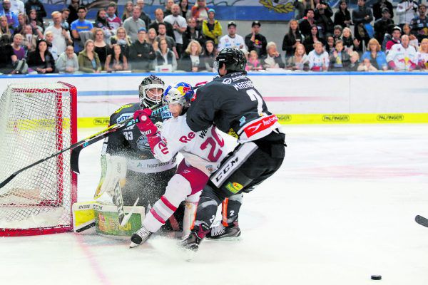 Die Bulldogs wollen heute Innsbruck so in die Mangel nehmen wie Salzburg am Freitag. GEPA (2)