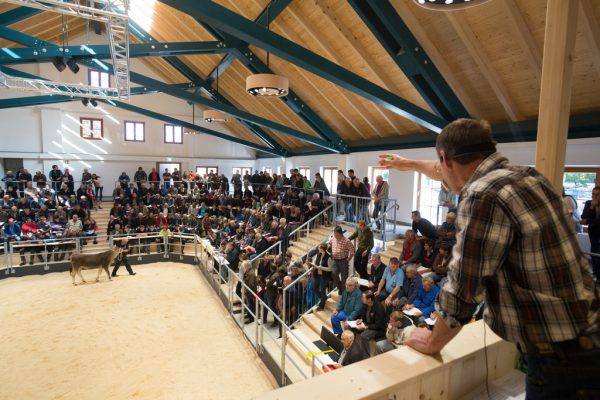Die erste Auktion in der neuen Halle ist bereits über die Bühne gegangen. Hartinger