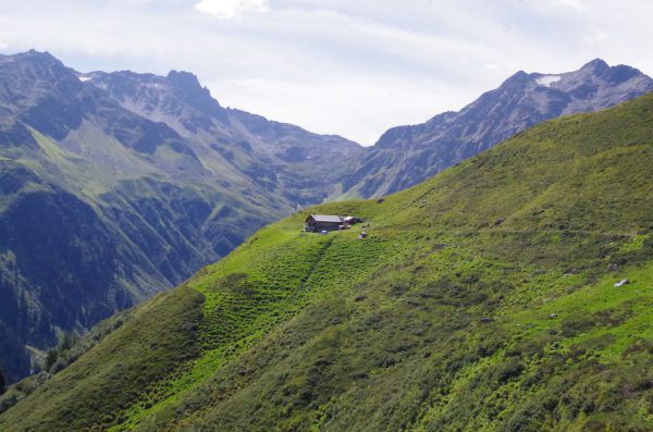 Rund 450 Schafe – die meisten davon aus der Schweiz – hütet Margarete Petrischek auf der Thüringer Alpe. Rubina Bergauer