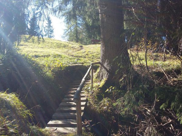 Romantisch: Unterwegs auf dem Wiesweg nach Raggal.  Hertha Glück (2)