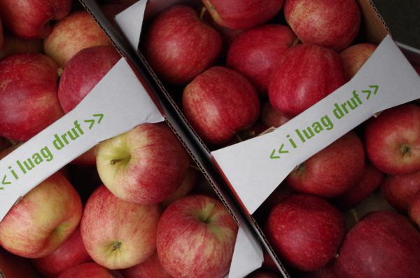 40 Tonnen Tafel-Äpfel konnten heuer in Vorarlberg geerntet werden. Das entspricht rund zehn Prozent einer normalen Ernte. Bergauer