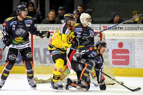 Die Dornbirner Bulldogs schlugen den Tabellenführer. GEPA/Lerch