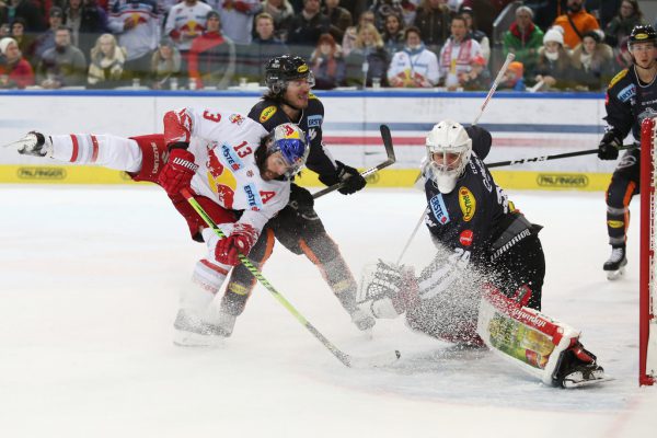 Torhüter Rasmus Rinne zeigte in Salzburg ein starkes Spiel. Zum Sieg reichte es aber für die Bulldogs dennoch nicht. GEPA