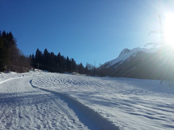 Wald am Arlberg mit dem Burtschakopf.