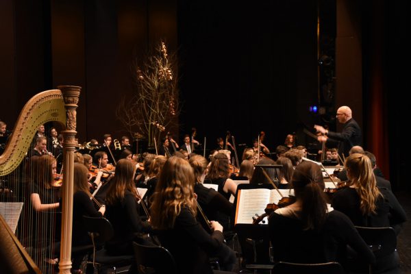 Zeigte sich beim Neujahrskonzert am Silvestertag von seiner besten Seite: das Jugendsinfonieorchester Dornbirn. Caroline begle
