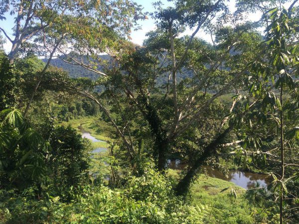 Das Internat ist am Rand des Manu-Nationalparks angesiedelt.
