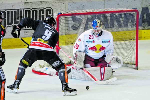 Die Bulldogs hatten viele gute Chancen, kamen aber am starken Starkbaum am Sonntag nicht vorbei. Dietmar Stiplvosek