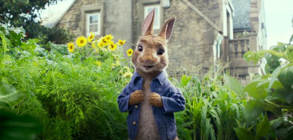 Kinderbuch-Held: Peter Hase