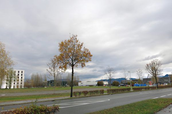 Auf diesem Gelände hätte eine Ikea-Filiale mit 10.000 Quadrat­metern Grundfläche entstehen können. Die künftige Nutzung ist noch unklar.  Marktgemeinde Lustenau