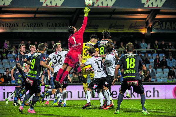 Martin Kobras bleibt im Tor und soll heute die Null festhalten. GEPA/Lerch (2), Gepa