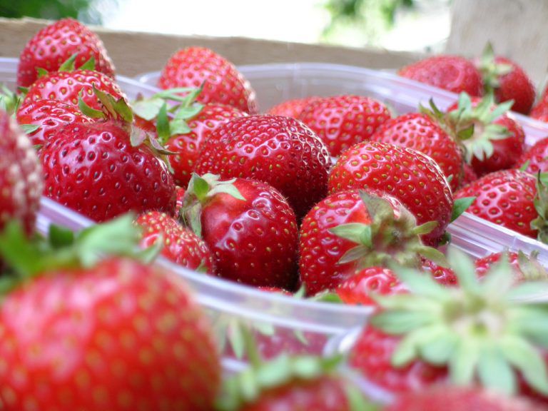 Erdbeeren: Bei allen beliebt.⇒neue