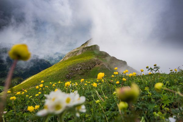 Am nordöstlichen Bergfuß des Künzelspitze-Massivs finden sich gleich mehrere Schurfrechte. Mitunter überlappen sich diese. Denise Neufert