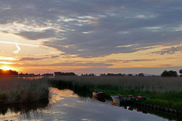 Das Rheindelta am Rohrspitz ist ein vielfältiges Biotop, dem sich der Natura Trail widmet. vorarlberg Tourismus/Joachim Negwer