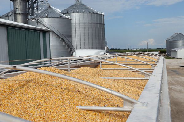 Die chinesischen Zölle treffen vor allem landwirtschaftliche US-Produkte. Reuters