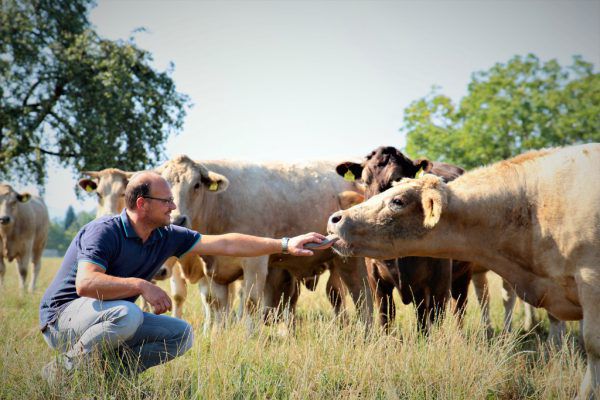 25 Rinder hält Biobauer Martin Hehle derzeit auf den Wiesen rund um seinen Hof in Hörbranz.Uwe Fetz