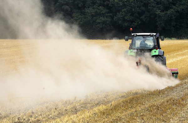Die anhaltende Dürre im Sommer hat den heimischen Landwirten Millionen gekostet. APA