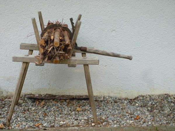 Ein sogenannter Buschelbock. Waldschule Bodensee