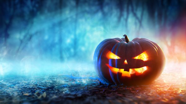 Halloween wird auch hierzulande immer populärer.  Shutterstock (2)