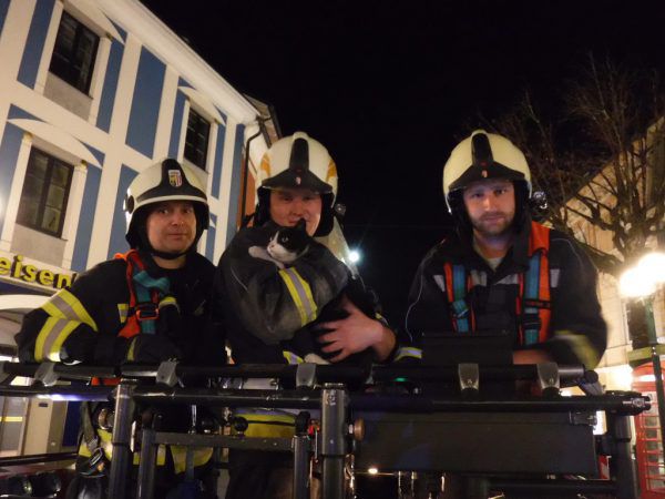 Erschöpft, aber unverletzt: der gerettete Kater. FF Bad Ischl