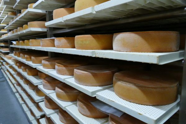 Hier reifen alle in der Sennerei Langenegg hergestellten Käse. Miriam Jaeneke
