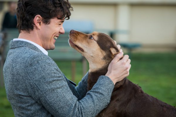 Bella hat einen langen Weg zurück zu Lucas. Sony Pictures