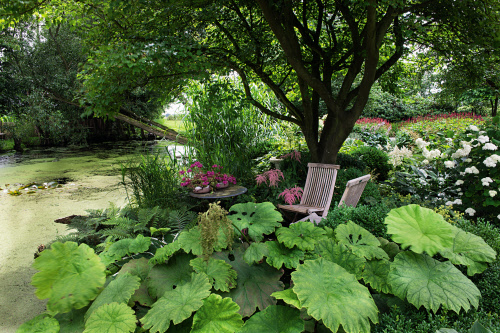 Üppige Vielfalt - NEUE Vorarlberger Tageszeitung