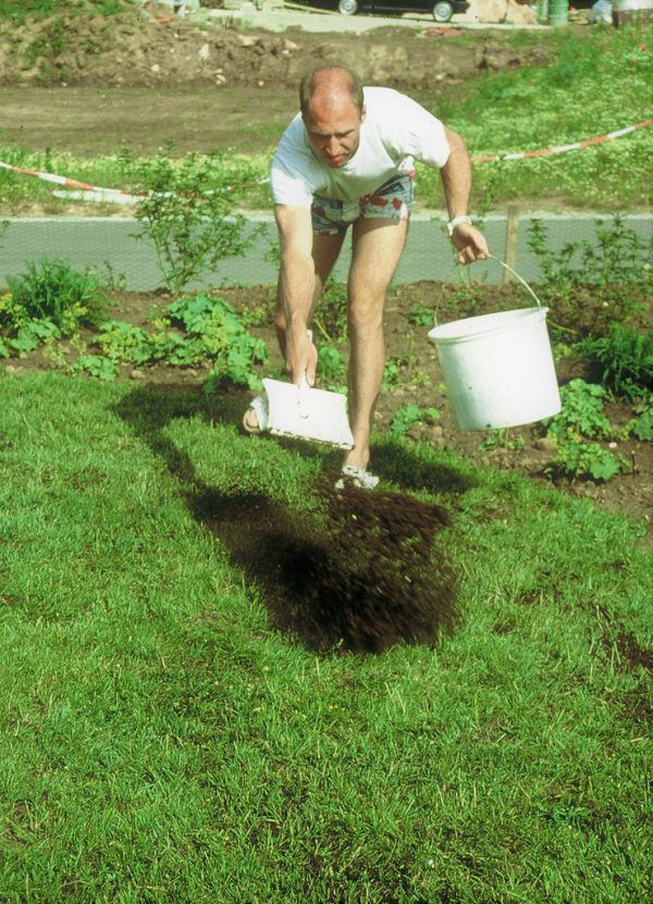 Bereits im Frühjahr – vor der Blüte – sollte gedüngt werden. Bayerischer Landesverband für Obst- und Gartenbau