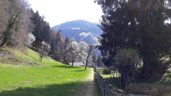 Romantische Wege im Gaueswald und das Panorama auf dem Rückweg nach Schruns. Glück (3)