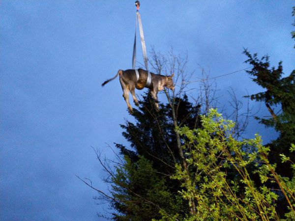 Rettung mit Gurten und Kran.Ortsfeuerwehr gantschier