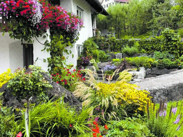 Bunte Blumen dürfen im Universalgarten nicht fehlen.LWK Vorarlberg (7)