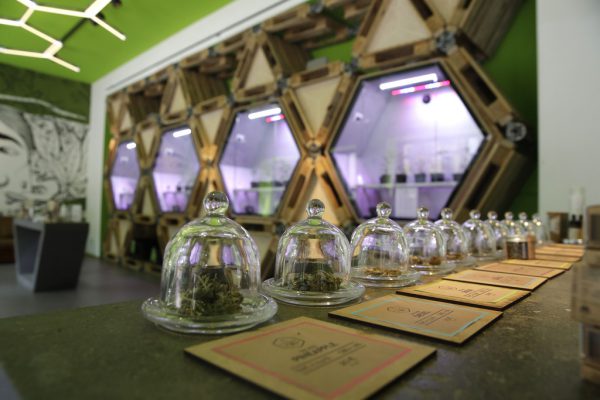 „Cannabis light“ wird in vielfältiger Form verkauft. AP (3)