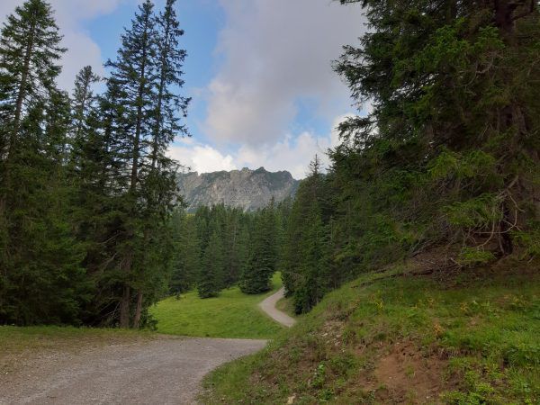 Der Wanderweg ist kindertauglich und romantisch zugleich (großes Foto). An elf Stationen (kleines Foto) wird zudem Wissen vermittelt. Hertha Glück (3)
