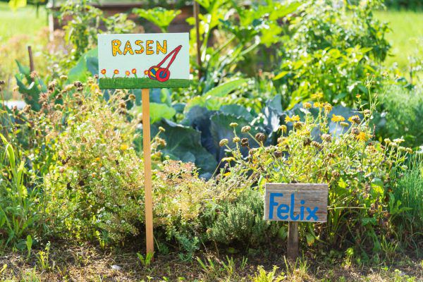 Wer mit System erntet, kann fast das ganze Jahr über Gemüse aus einem Garten beziehen.