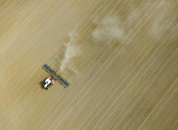 Vor allem in der Landwirtschaft entstehen große Schäden durch die Dürre.  APA