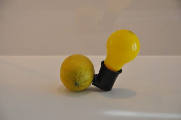 Die Vitrinen sind nach Vorgaben von Joseph Beuys gestaltet. Kleines Bild unten: das Foto, das den Künstler bei seinem Rausschmiss aus der Düsseldorfer Akademie zeigt.  Wolfgang Ölz (3)